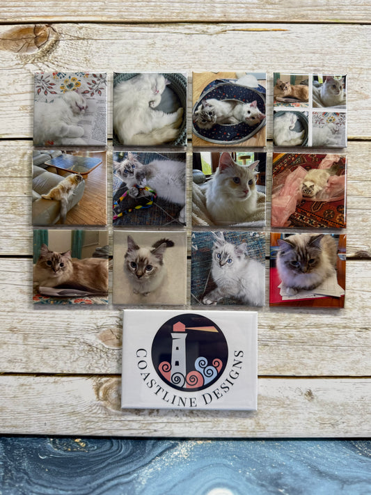 2"x 2" Square Custom Photo Magnets
